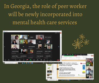 Support of peer work in Georgia